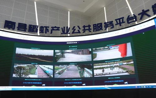 羅訊專題調(diào)研稻蝦產(chǎn)業(yè)發(fā)展與餐飲管理